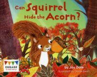 Can Squirrel Hide The Acorn
