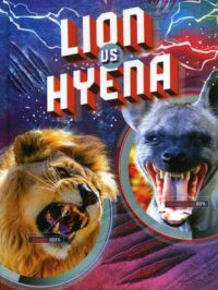 Lion Vs Hyena