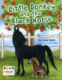 Little Donkey And The Black Horse
