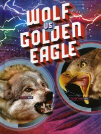 Wolf Vs Golden Eagle
