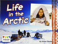 life in the arctic