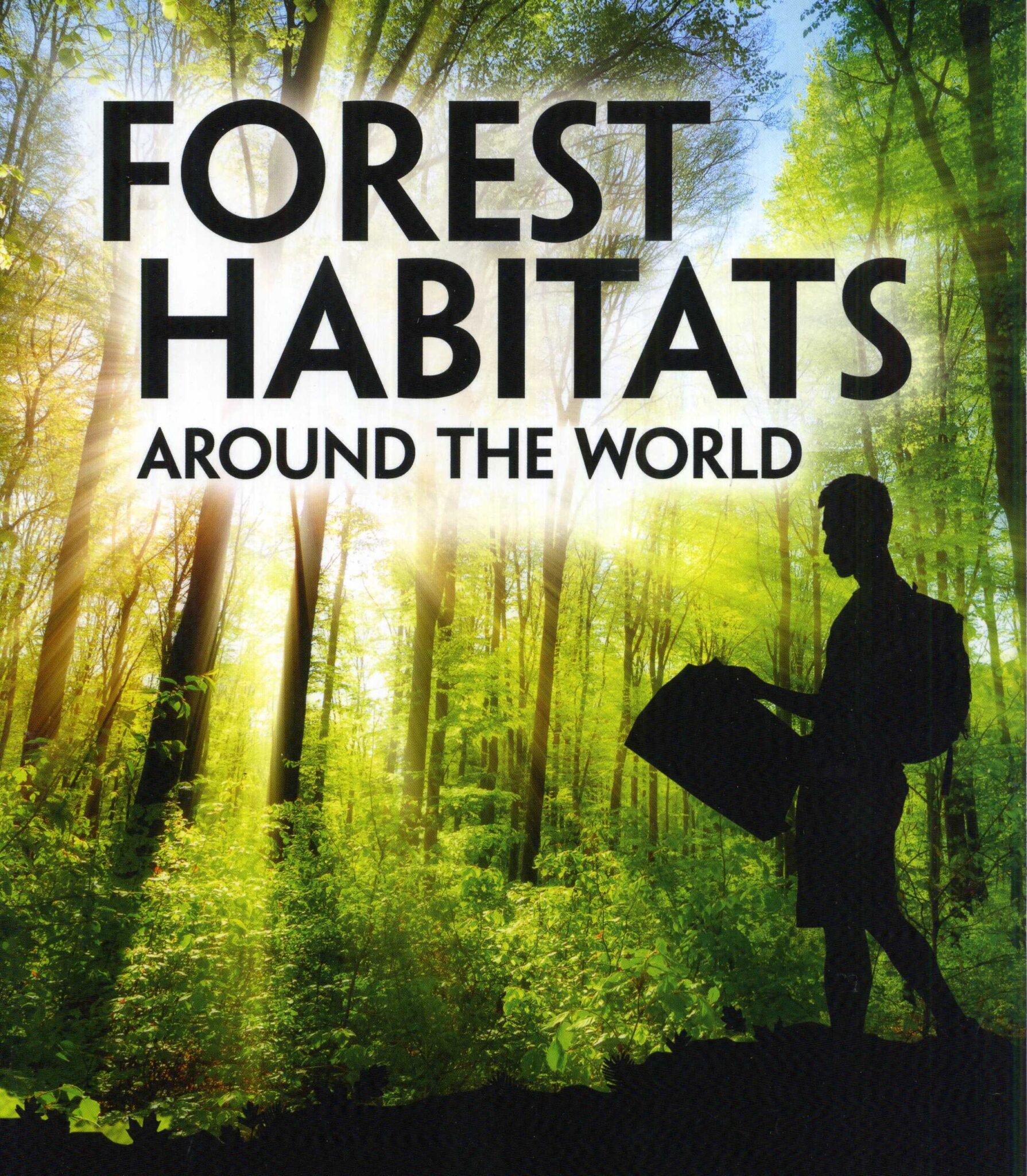 Forest Habitats Around The World Laburnum House Educational