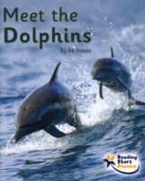 Meet The Dolphins