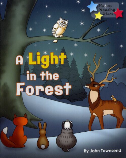 A Light In The Forest