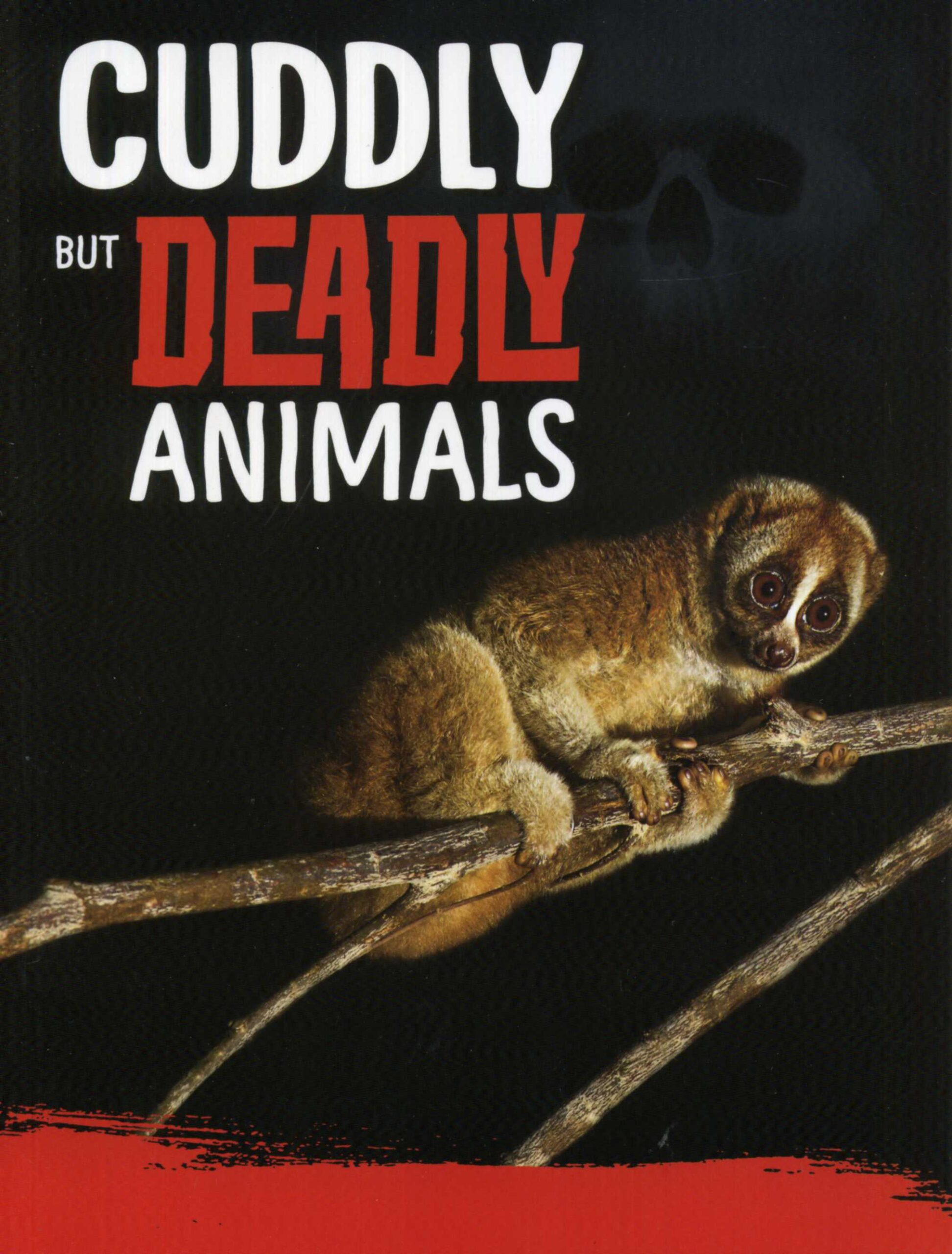 Cuddly But Deadly Animals