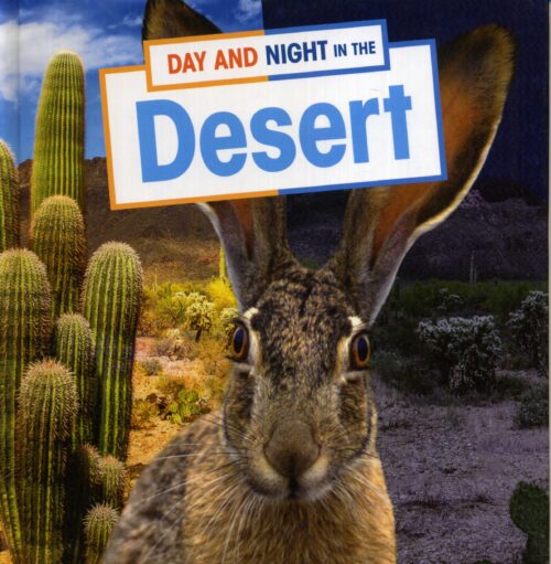 Day And Night In The Desert