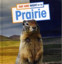 Day And Night On The Prairie