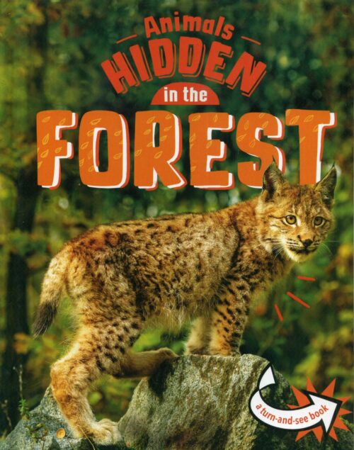 Animals Hidden In The Forest