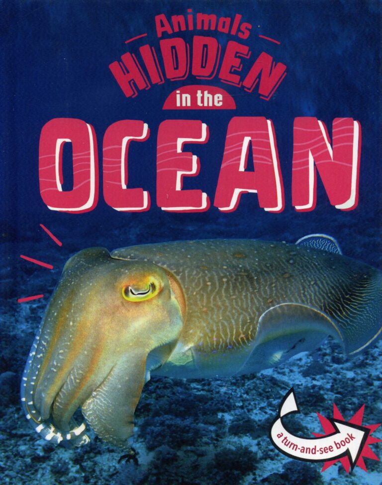 Animals Hidden In The Ocean - Laburnum House Educational