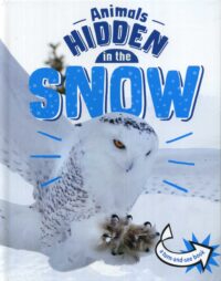 Animals Hidden In The Snow
