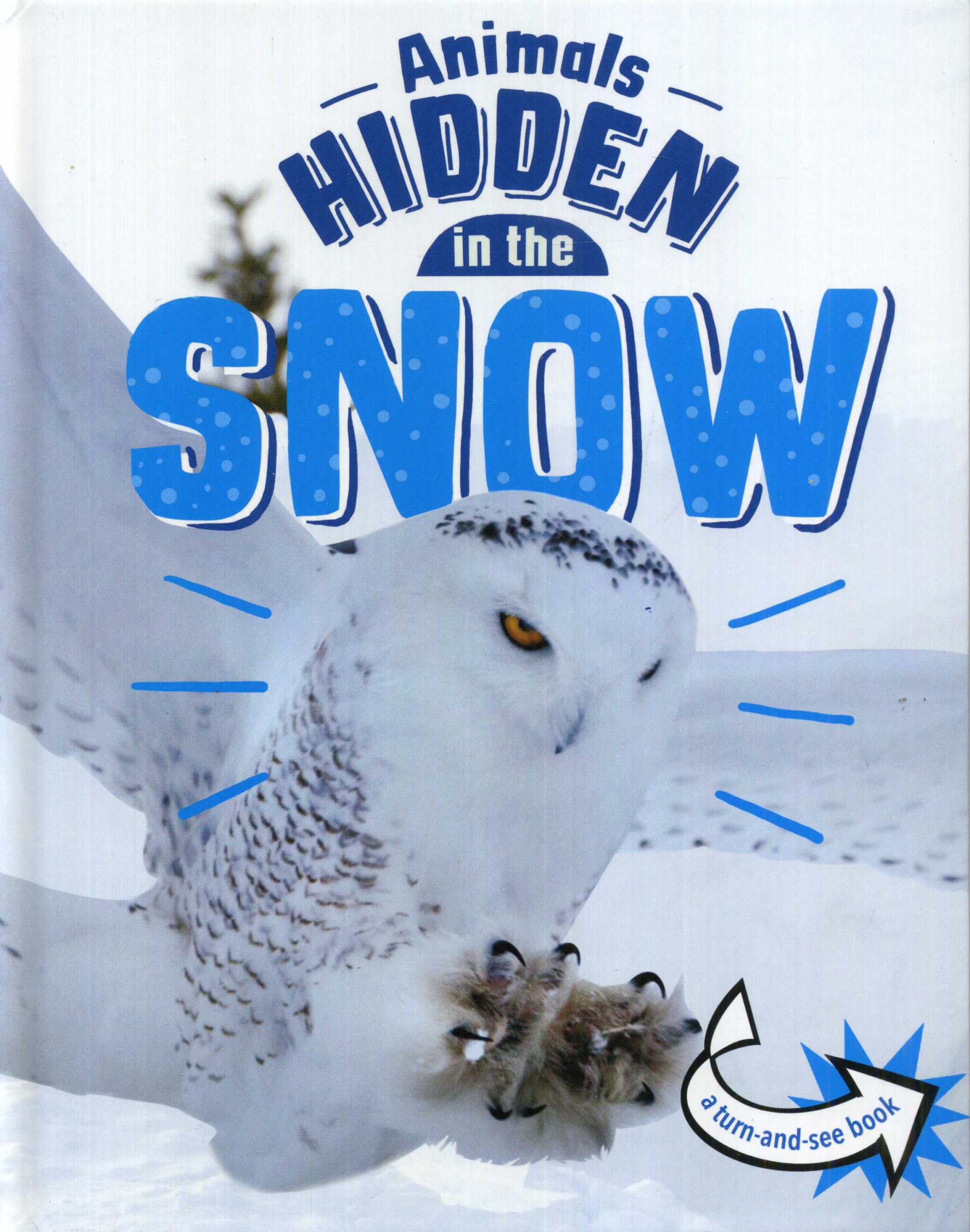 Animals Hidden In The Snow - Laburnum House Educational