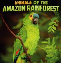 Animals Of The Amazon Rainforest