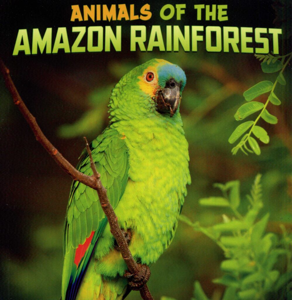 Animals Of The Amazon Rainforest - Laburnum House Educational