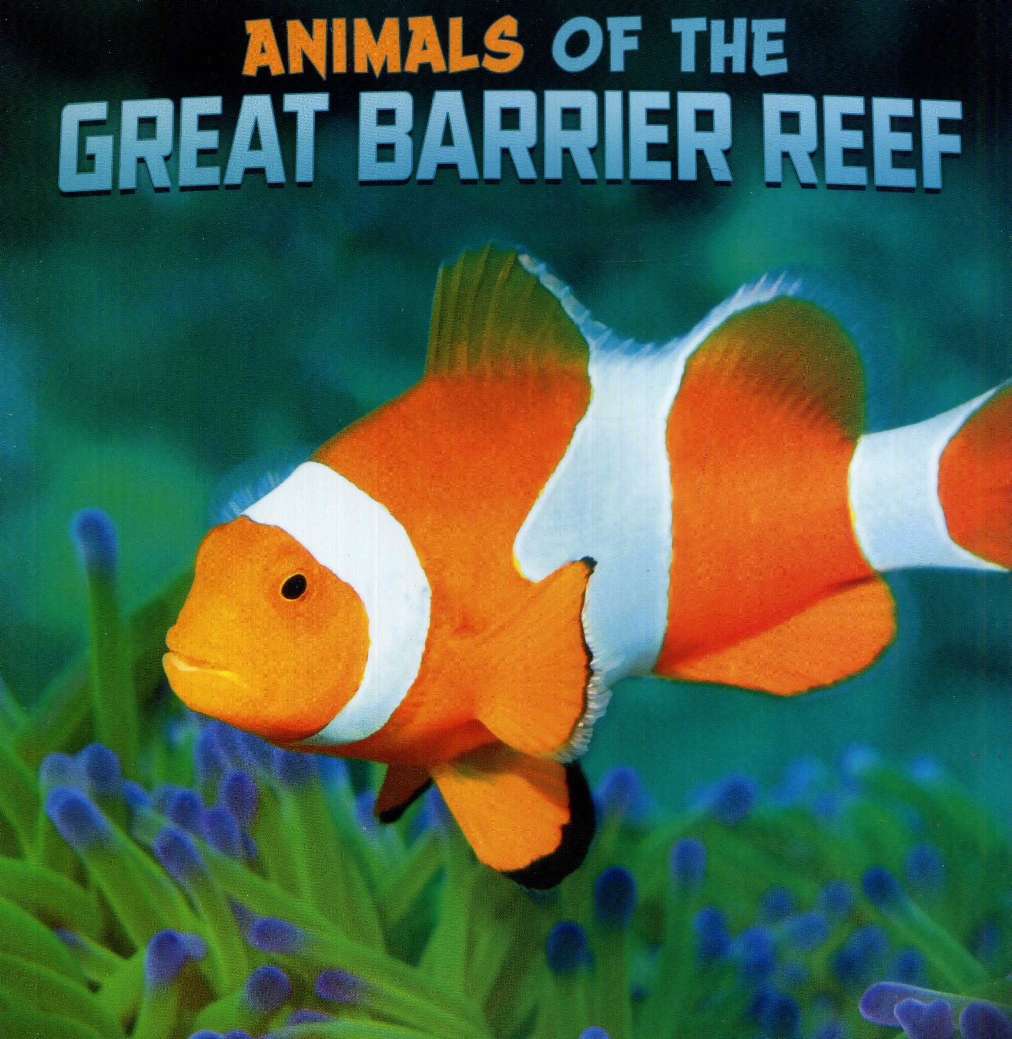 Animals Of The Great Barrier Reef - Laburnum House Educational