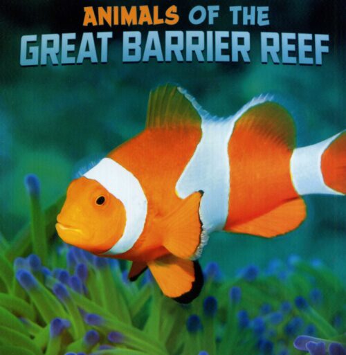 Animals Of The Great Barrier Reef