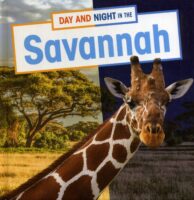 Day And Night In The Savannah