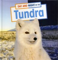 On The Tundra