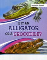 Is It An Alligator Or A Crocodile?