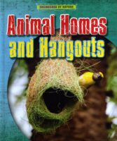 Animal Homes And Hangouts