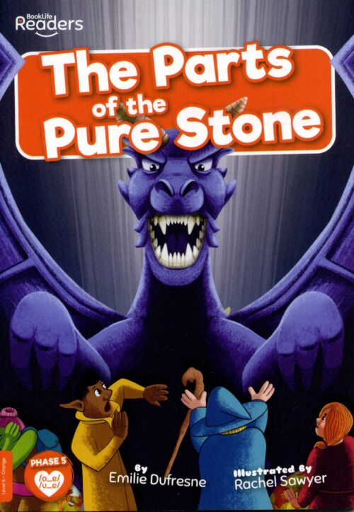 The Parts Of The Pure Stone