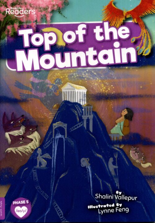 Top Of The Mountain