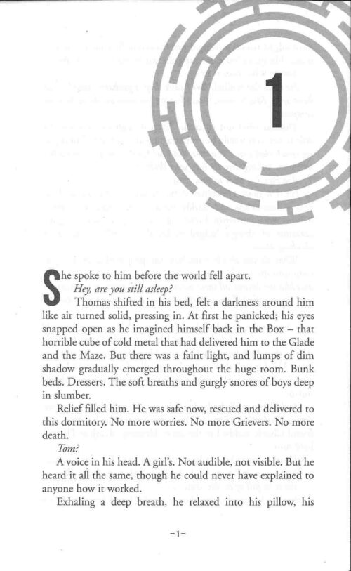 The Scorch Trials - Image 2