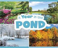 A Year In The Pond
