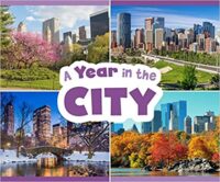 A Year In The City