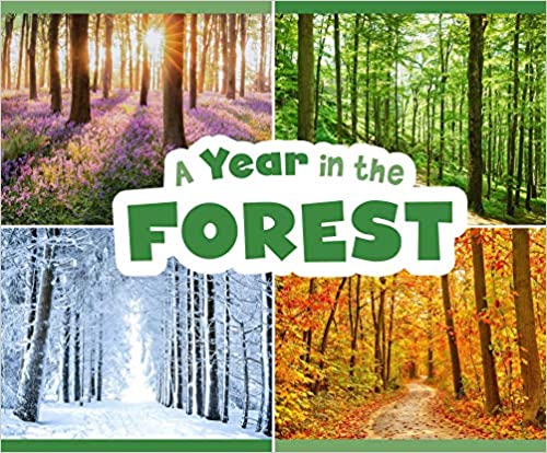 A Year In the Forest