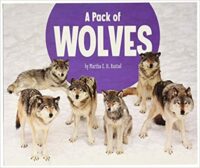A Pack Of Wolves
