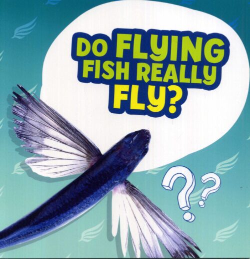 Do Flying Fish Really Fly