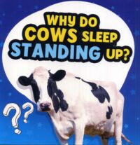 Why Do Cows Sleep Standing Up?