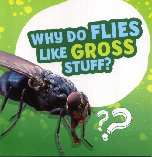 Why Do Flies Like Gross Stuff