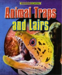 Animal Traps and Lairs