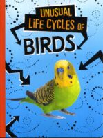 Unusual Life Cycles Of Birds