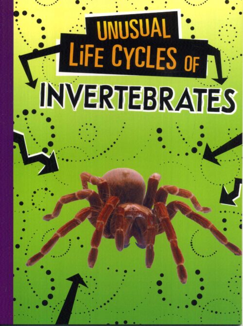 Invertebrates