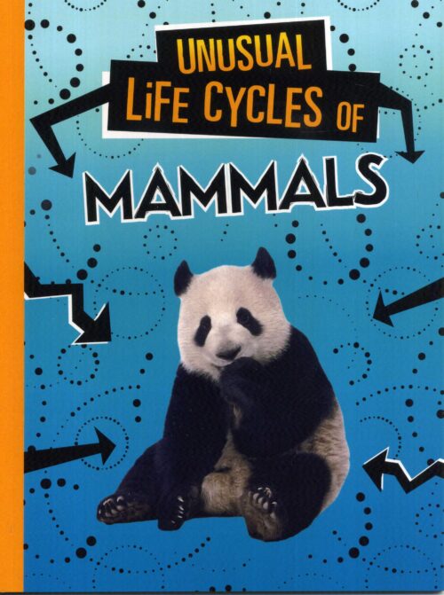 Unusual Life Cycles Of Mammals