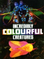 Incredibly Colourful Creatures