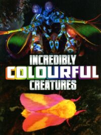 Incredibly Colourful Creatures