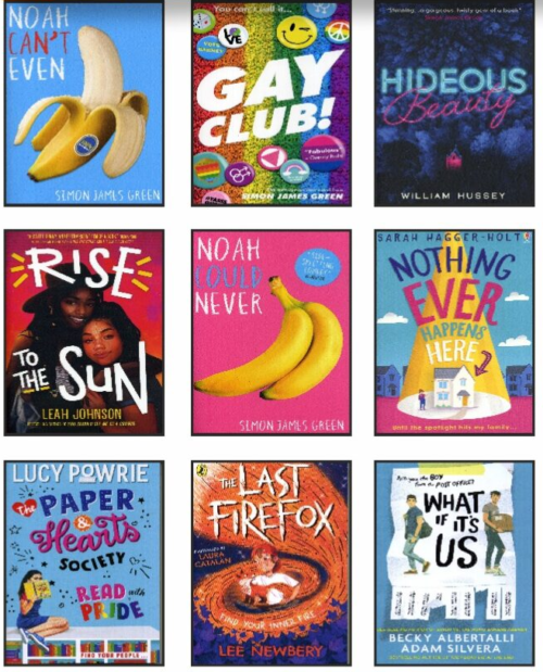 Secondary LGBTQ+ Collection | 25 Books