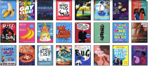 Secondary LGBTQ+ Collection | 25 Books - Image 2