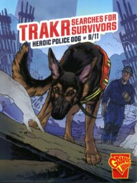 Trakr Searches For Survivors