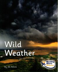 Wild Weather