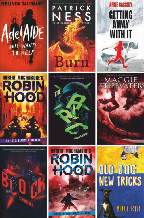 Secondary Boys 14+ Collection | 15 Books