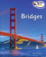 Bridges