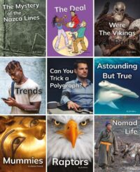 Middle Years Phonics Collection | 26 Books