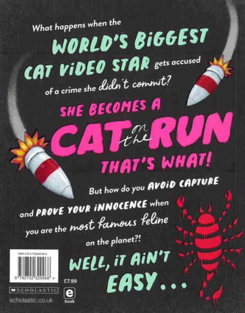 Cat On The Run back Cover