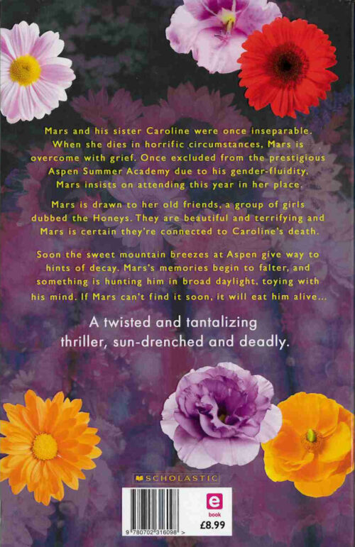 Back Cover of The Honeys