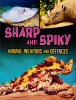 Sharp And Spiky