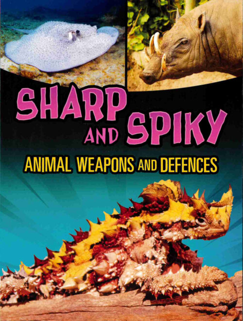 Sharp And Spiky